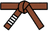 BJJ Brown belt